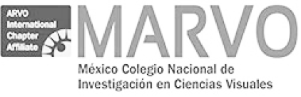Grupo 13