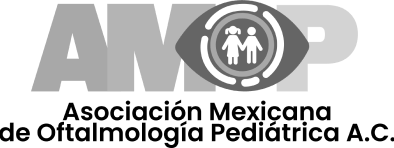 Grupo 4